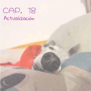 Adopta un galgo